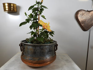 Old Copper Pot