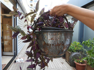 Old Copper Milking Bucket