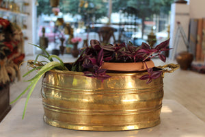 SOLID BRASS OVAL PLANTER WITH HANDLES