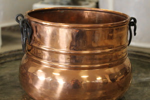 Stylish Copper Plant Pot